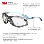 Virtua CCS Safety Glasses